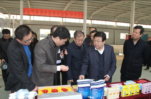 省委考核组莅临河北金牛原大药业科技有限公司重点项目实地考核